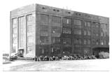 Eli Lilly Camouflaged, � unknown