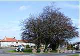 Venture Roundabout, photo � E.P.Tozer