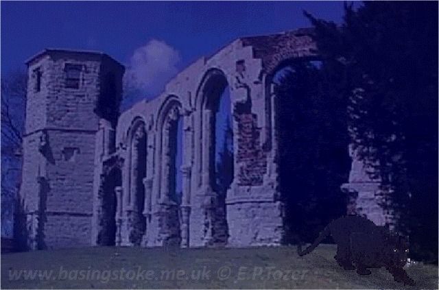 Hoe the beast of Basngstoke might look if seen in the Chapel Hill graveyard at night, image � E.P.Tozer