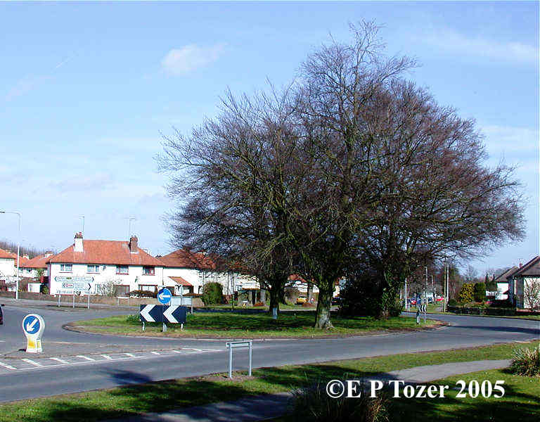 Venture roundabout, image � E.P.Tozer