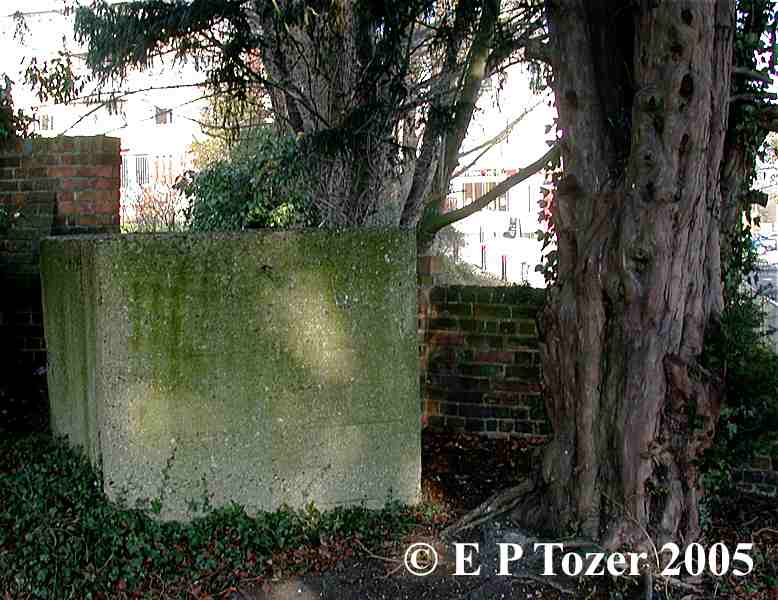 The Basingstoke Canal, image � E.P.Tozer